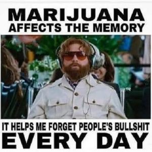 Meet your Posher, Gregorio